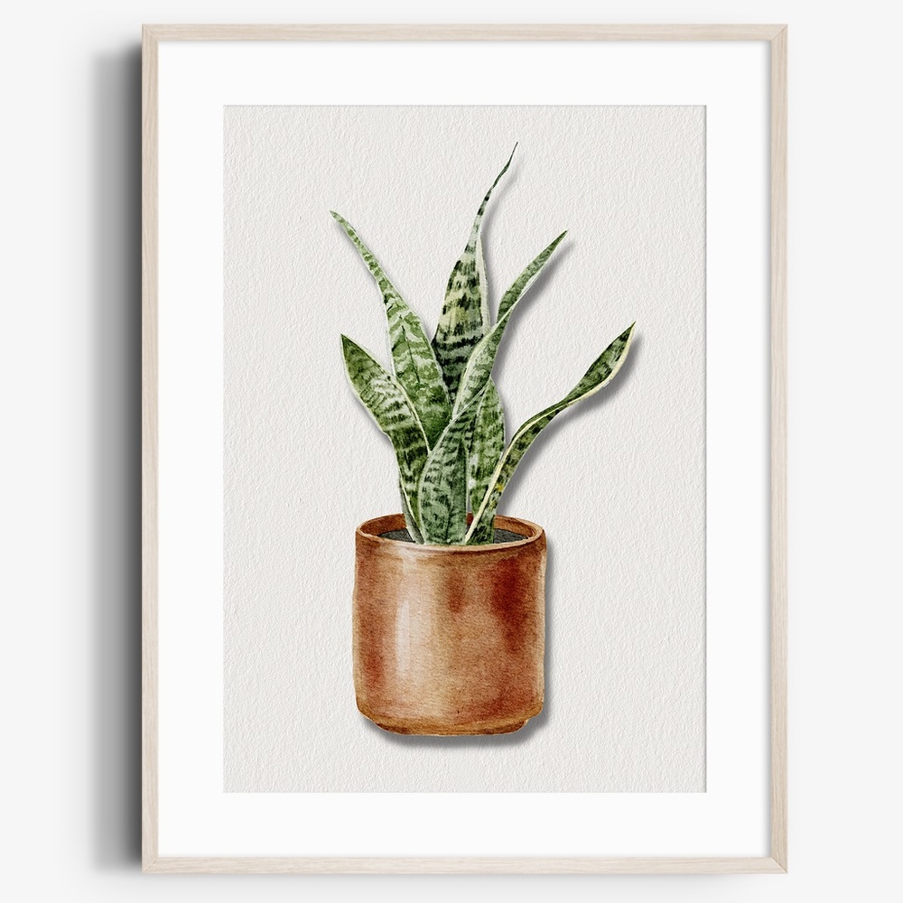 Watercolor Plants Botanical Wall Art Illustration Print Poster Unframed